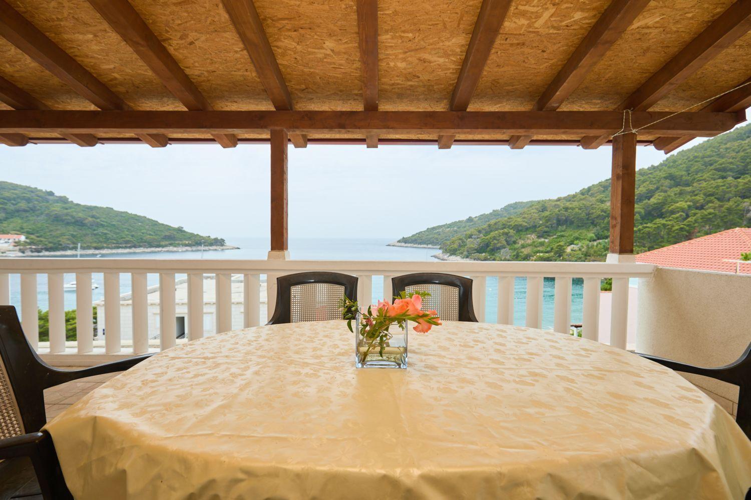 Apartment Hansal Saplunara